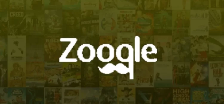 <strong>Zooqle (2021) – Biggest Website For Downloading Torrents Files</strong>